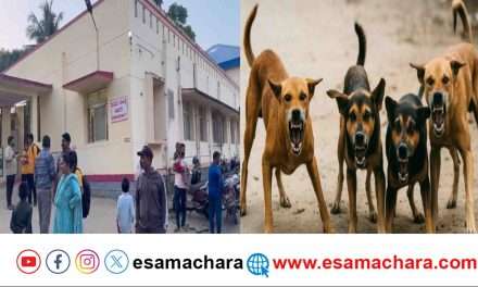 Dog Attack/ ದಾಂಡೇಲಿಯಲ್ಲಿ ಬೀದಿ ನಾಯಿಗಳ ಅಟ್ಟಹಾಸ. ಹಲವರಿಗೆ ಗಾಯ. ಆಸ್ಪತ್ರೆಯಲ್ಲಿ ಚಿಕಿತ್ಸೆ.