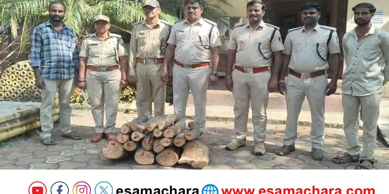 Sandalwood/ ಮನೆಯಲ್ಲಿ 60 ಕೆಜಿ ಶ್ರೀಗಂಧ. ಆರೋಪಿ ಕಬ್ಬಿನ ಗದ್ದೆಯಲ್ಲಿ ಪರಾರಿ.