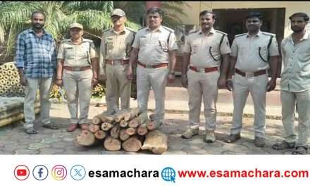 Sandalwood/ ಮನೆಯಲ್ಲಿ 60 ಕೆಜಿ ಶ್ರೀಗಂಧ. ಆರೋಪಿ ಕಬ್ಬಿನ ಗದ್ದೆಯಲ್ಲಿ ಪರಾರಿ.