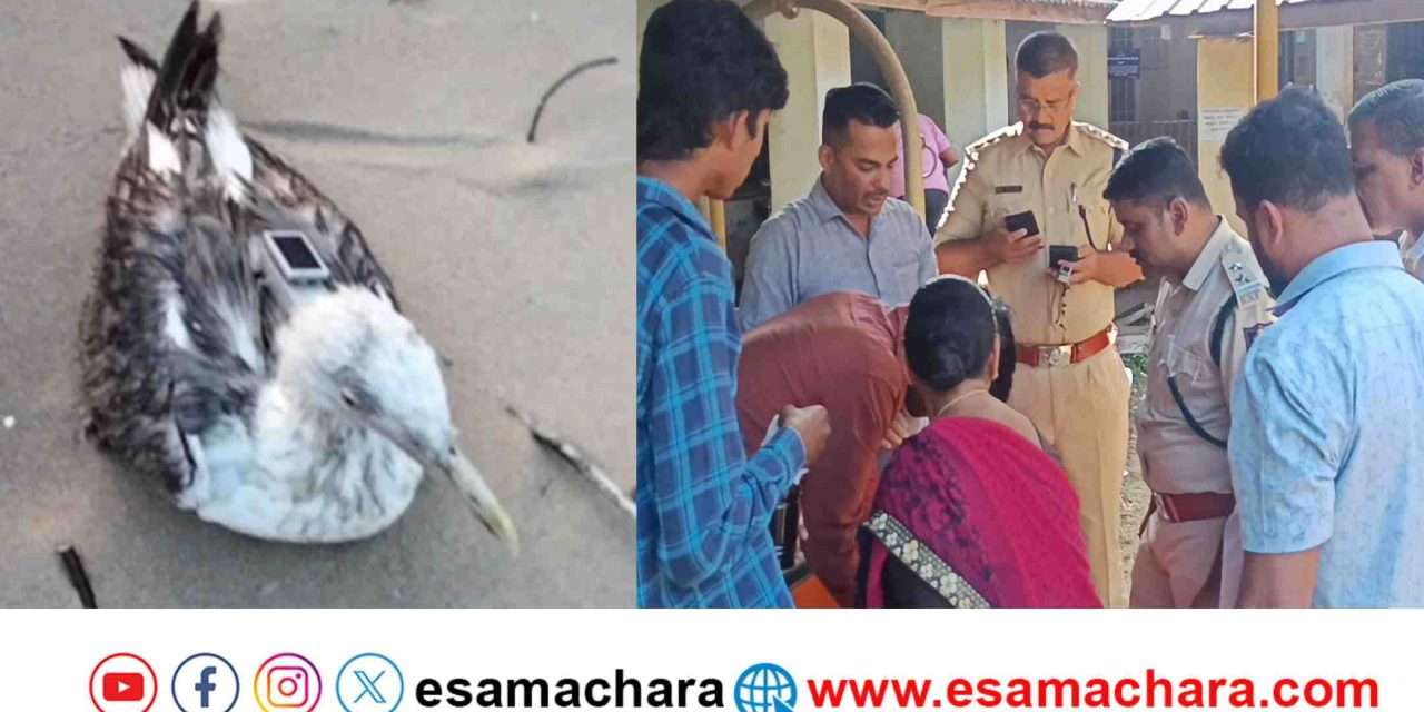 Suspect Bird,/ ಕಾರವಾರ ಕಡಲ ತೀರದಲ್ಲಿ ಅನುಮಾನಾಸ್ಪದ ಹಕ್ಕಿ. ಫಾರೆನ್ಸಿಕ್ ಪರೀಕ್ಷೆಗೆ ರವಾನೆಯಾದ ಡಿವೈಸ್.