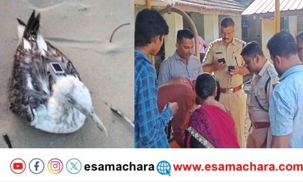 Suspect Bird,/ ಕಾರವಾರ ಕಡಲ ತೀರದಲ್ಲಿ ಅನುಮಾನಾಸ್ಪದ ಹಕ್ಕಿ. ಫಾರೆನ್ಸಿಕ್ ಪರೀಕ್ಷೆಗೆ ರವಾನೆಯಾದ ಡಿವೈಸ್.