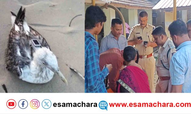 Suspect Bird,/ ಕಾರವಾರ ಕಡಲ ತೀರದಲ್ಲಿ ಅನುಮಾನಾಸ್ಪದ ಹಕ್ಕಿ. ಫಾರೆನ್ಸಿಕ್ ಪರೀಕ್ಷೆಗೆ ರವಾನೆಯಾದ ಡಿವೈಸ್.