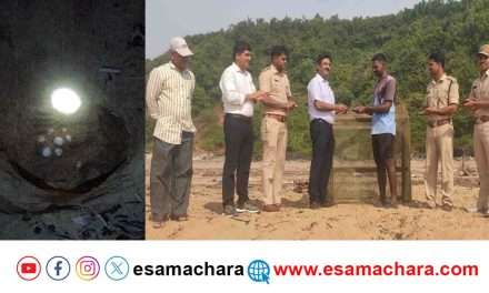 Turtles/ ವರ್ಷದ ಮೊದಲ ಕಡಲಾಮೆ ಗೂಡು ಪತ್ತೆ. ಅರಣ್ಯ ಇಲಾಖೆಯಿಂದ ಮೀನುಗಾರನಿಗೆ ಬಹುಮಾನ.