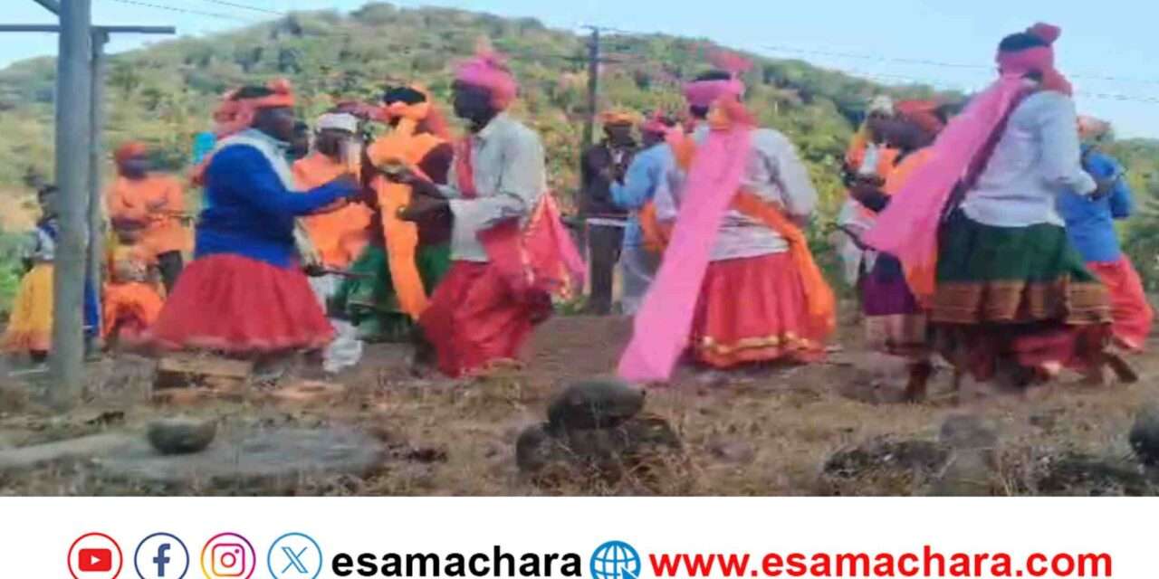 Sigmo Celebration/ ಜೋಯಿಡಾ ತಾಲೂಕಿನಾದ್ಯಂತ ಹೋಳಿ ಹಬ್ಬದ ನಿಮಿತ್ತ ಸುಗ್ಗಿ(ಸಿಗ್ಮೋ) ಕುಣಿತದ ಸಂಭ್ರಮ.