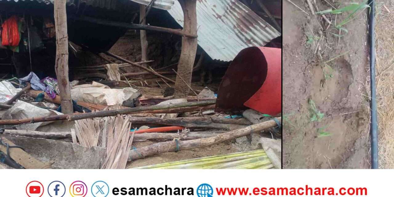 Elephant Attack/ ನಸುಕಿನ ಜಾವ ನುಗ್ಗಿದ ಕಾಡಾನೆ. ದನದ ಕೊಟ್ಟಿಗೆ ದ್ವಂಸ.