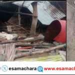 Elephant Attack/ ನಸುಕಿನ ಜಾವ ನುಗ್ಗಿದ ಕಾಡಾನೆ. ದನದ ಕೊಟ್ಟಿಗೆ ದ್ವಂಸ.