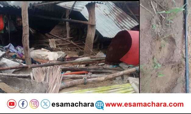 Elephant Attack/ ನಸುಕಿನ ಜಾವ ನುಗ್ಗಿದ ಕಾಡಾನೆ. ದನದ ಕೊಟ್ಟಿಗೆ ದ್ವಂಸ.