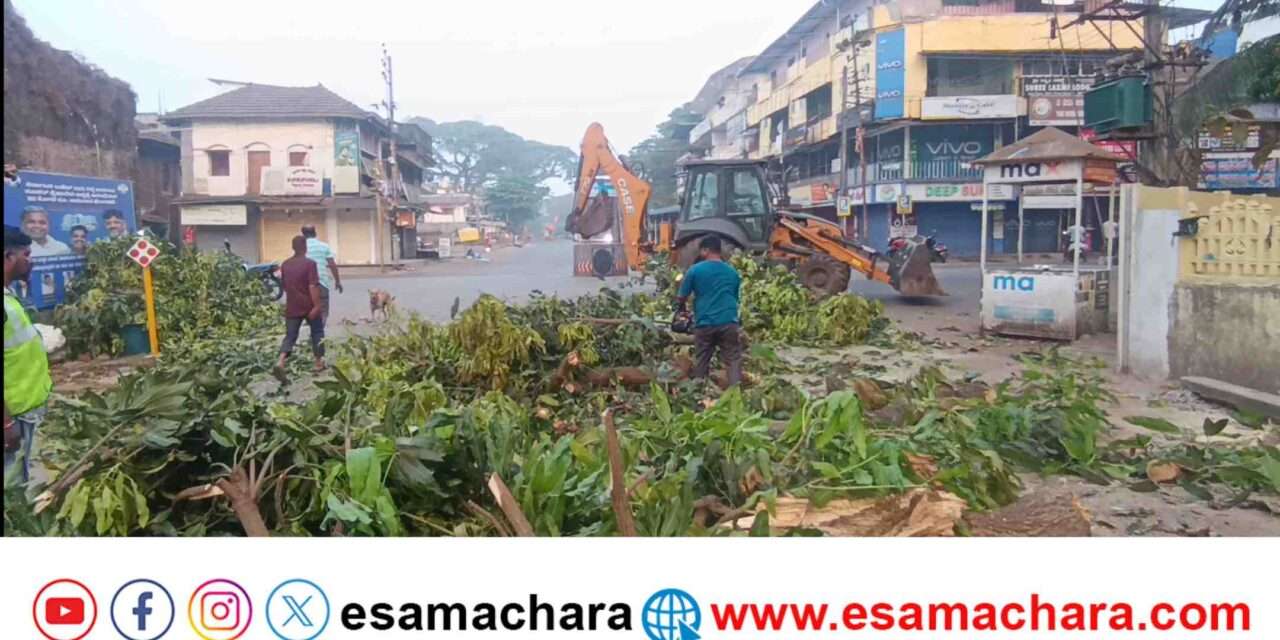 Tree felldown/ ಕಾರವಾರ ನಗರದಲ್ಲಿ ಬಿದ್ದ ಬಾರೀ ಗಾತ್ರದ ಮರದ ಟೊಂಗೆ. ತಪ್ಪಿದ ದುರಂತ.