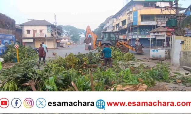 Tree felldown/ ಕಾರವಾರ ನಗರದಲ್ಲಿ ಬಿದ್ದ ಬಾರೀ ಗಾತ್ರದ ಮರದ ಟೊಂಗೆ. ತಪ್ಪಿದ ದುರಂತ.