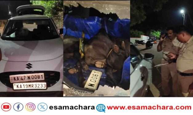 Cattle Thieves/ ಭಟ್ಕಳದಲ್ಲಿ ಮುಂದುವರಿದಿದೆ ಗೋಗಳ್ಳರ ಕೃತ್ಯ. ಡಬಲ್ ನಂಬರ್ ಪ್ಲೇಟ್ ಅಳವಡಿಸಿ ಅಮಾಯಕರ ಹೆಸರು ಕೆಡಿಸೋ ಪ್ರಯತ್ನ.