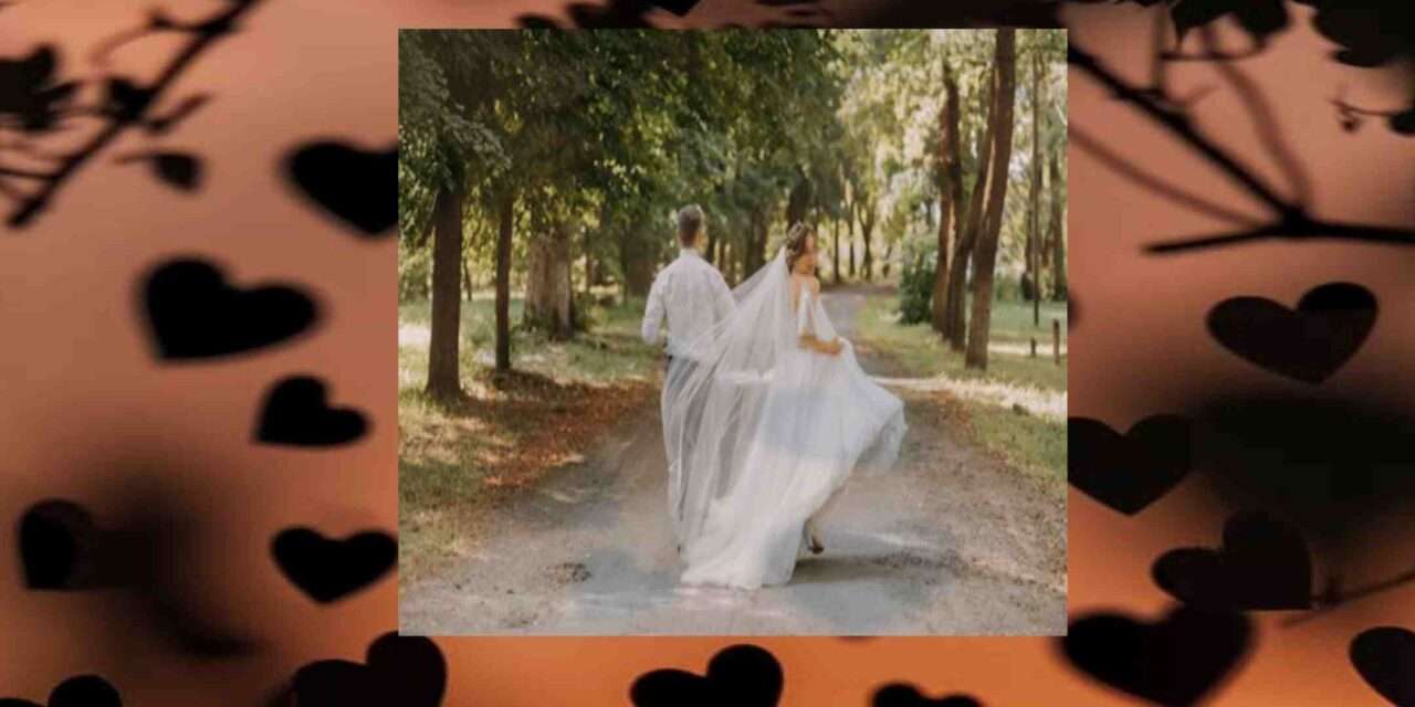 Love Case/ ಕ್ವಿಂಟಲ್ ಗಟ್ಟಲೇ ಮಟನ್, ಚಿಕನ್ ವೇಸ್ಟ್ ಮಾಡಿಸಿದ ವಧು. ಮದುವೆಗೆ ಮುಂಚೆ ಪ್ರಿಯಕರನೊಂದಿಗೆ ಎಸ್ಕೇಪ್ .