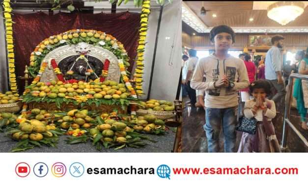 Mango Special/ ಮಹಾಗಣಪತಿ‌ ದೇವರಿಗೆ ಮಾವಿನ ಹಣ್ಣಿನ ಅಭಿಷೇಕ.