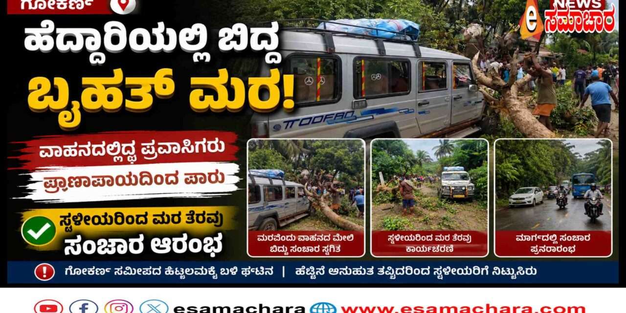 Fallen Tree/ ರಸ್ತೆಗೆ ಅಡ್ಡವಾಗಿ ಉರುಳಿದ ಬೃಹತ್ ಮಾವಿನಮರ. ಪ್ರವಾಸಿಗರು ಪ್ರಾಣಾಪಾಯದಿಂದ ಪಾರು