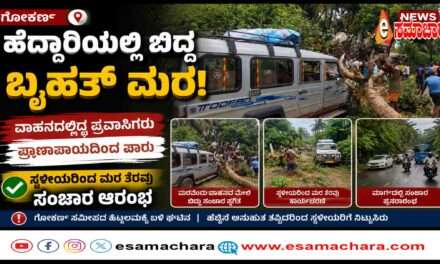 Fallen Tree/ ರಸ್ತೆಗೆ ಅಡ್ಡವಾಗಿ ಉರುಳಿದ ಬೃಹತ್ ಮಾವಿನಮರ. ಪ್ರವಾಸಿಗರು ಪ್ರಾಣಾಪಾಯದಿಂದ ಪಾರು