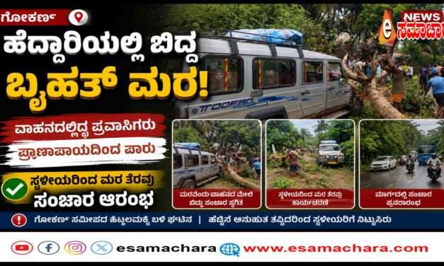 Fallen Tree/ ರಸ್ತೆಗೆ ಅಡ್ಡವಾಗಿ ಉರುಳಿದ ಬೃಹತ್ ಮಾವಿನಮರ. ಪ್ರವಾಸಿಗರು ಪ್ರಾಣಾಪಾಯದಿಂದ ಪಾರು