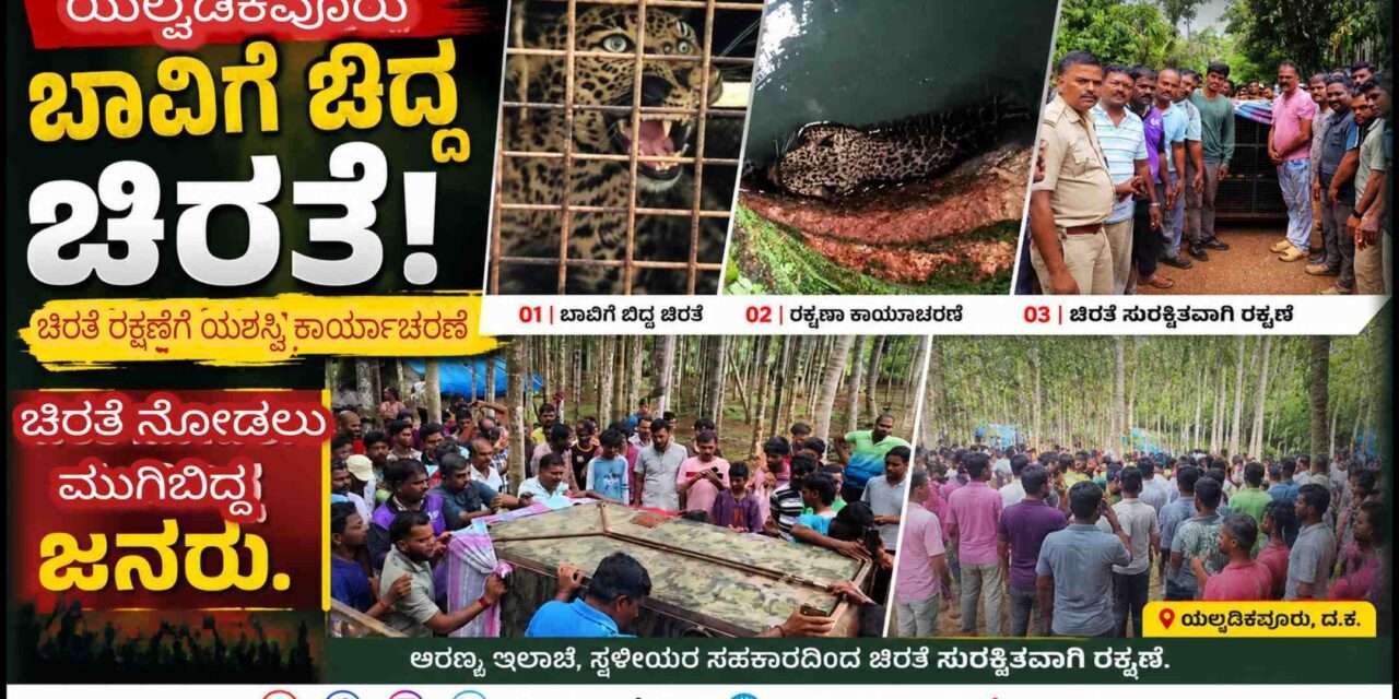 Lepord Rescue/ ಭಟ್ಕಳದಲ್ಲಿ ಬಾವಿಗೆ ಬಿದ್ದ ಚಿರತೆ ನೋಡಲು ಮುಗಿ ಬಿದ್ದ ಜನರು.