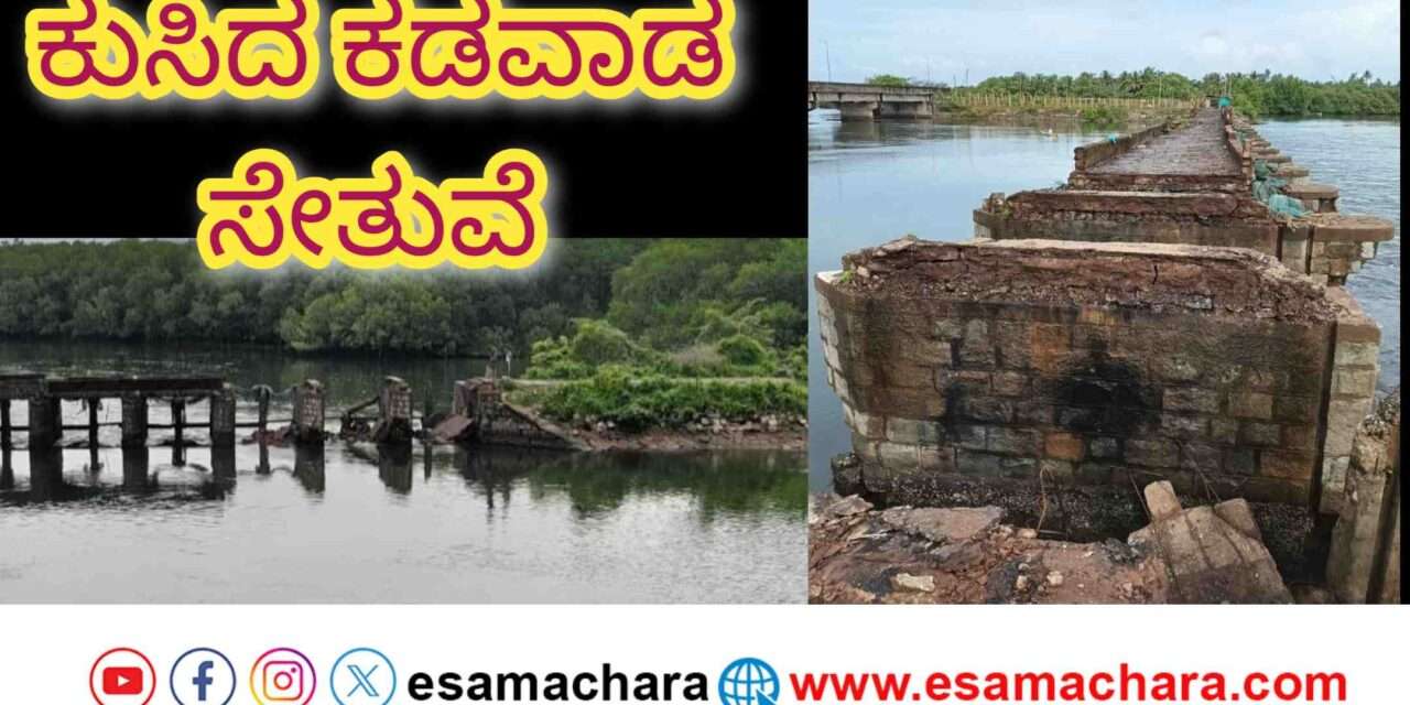 Bridge Collapse/ ಕಡವಾಡದ ಹಳೆ ಸೇತುವೆ ಇನ್ನೂ ನೆನಪು ಮಾತ್ರ. ಮಳೆಗೆ ನದಿಯಲ್ಲಿ ಕುಸಿದು ಬಿದ್ದ ಬ್ರಿಡ್ಜ್.