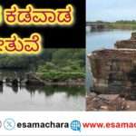 Bridge Collapse/ ಕಡವಾಡದ ಹಳೆ ಸೇತುವೆ ಇನ್ನೂ ನೆನಪು ಮಾತ್ರ. ಮಳೆಗೆ ನದಿಯಲ್ಲಿ ಕುಸಿದು ಬಿದ್ದ ಬ್ರಿಡ್ಜ್.