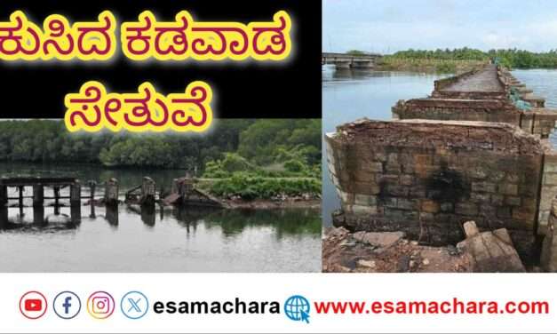 Bridge Collapse/ ಕಡವಾಡದ ಹಳೆ ಸೇತುವೆ ಇನ್ನೂ ನೆನಪು ಮಾತ್ರ. ಮಳೆಗೆ ನದಿಯಲ್ಲಿ ಕುಸಿದು ಬಿದ್ದ ಬ್ರಿಡ್ಜ್.