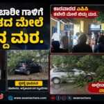 Wind Effect/  ಕಾರವಾರದಲ್ಲಿ ಭಾರೀ ಗಾಳಿಗೆ ಉರುಳಿ ಬಿದ್ದ ಮರ – ಎಪಿಪಿ ಕಚೇರಿ ದ್ವಂಸ