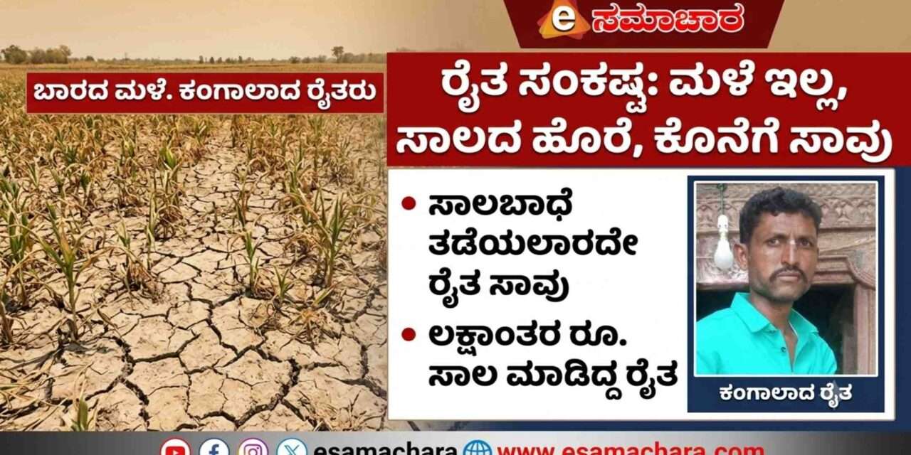 ಕೈಕೊಟ್ಟ ಮಳೆ.  ಸಾಲಬಾಧೆ ತಾಳಲಾರದೆ ರೈತ ಆತ್ಮ*ಹತ್ಯೆ