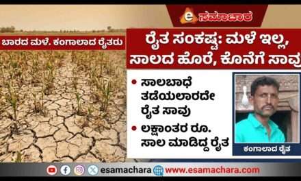 ಕೈಕೊಟ್ಟ ಮಳೆ.  ಸಾಲಬಾಧೆ ತಾಳಲಾರದೆ ರೈತ ಆತ್ಮ*ಹತ್ಯೆ