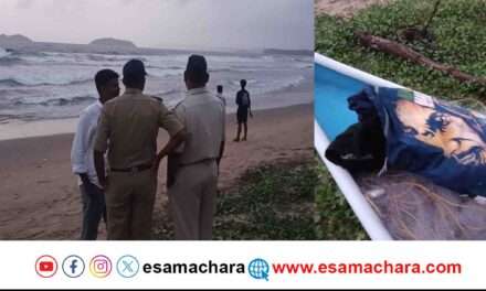 Missing/ ಕಾರವಾರ ಸಮುದ್ರದಲ್ಲಿ ವ್ಯಕ್ತಿ ನಾಪತ್ತೆ: ಕರಾವಳಿ ಕಾವಲು ಪಡೆ, ಪೊಲೀಸರ ಪರಿಶೀಲನೆ