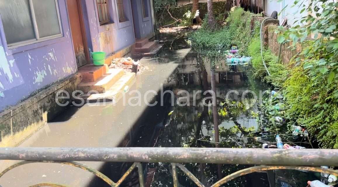Medical College Waste/ ವೈದ್ಯಕೀಯ ಕಾಲೇಜಿನ ಕೊಳಚೆ ನೀರು ವಾರ್ಡ್‌ಗೆ: ಕ್ರಮಕ್ಕೆ ಮಾಜಿ ನಗರಸಭಾ ಸದಸ್ಯೆ ಆಗ್ರಹ