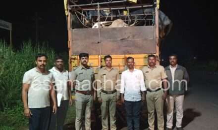 Cattle Rescue/ ಹಿಂಸಾತ್ಮಕವಾಗಿ ಜಾನುವಾರುಗಳ ಸಾಗಾಟ. ಭಟ್ಕಳದಲ್ಲಿ ಪೊಲೀಸರ ಕಾರ್ಯಾಚರಣೆಗೆ ಲಾರಿ ಬಿಟ್ಟು ಪರಾರಿ.