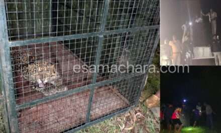 Leopard/ ಸೌಂಡ್ ಮಾಡ್ತಿದ್ದ ಚಿರತೆ  ಬೋನಿಗೆ…. ಸಾರ್ವಜನಿಕರ, ಅರಣ್ಯ ಇಲಾಖೆ ಕಾರ್ಯಾಚರಣೆ.