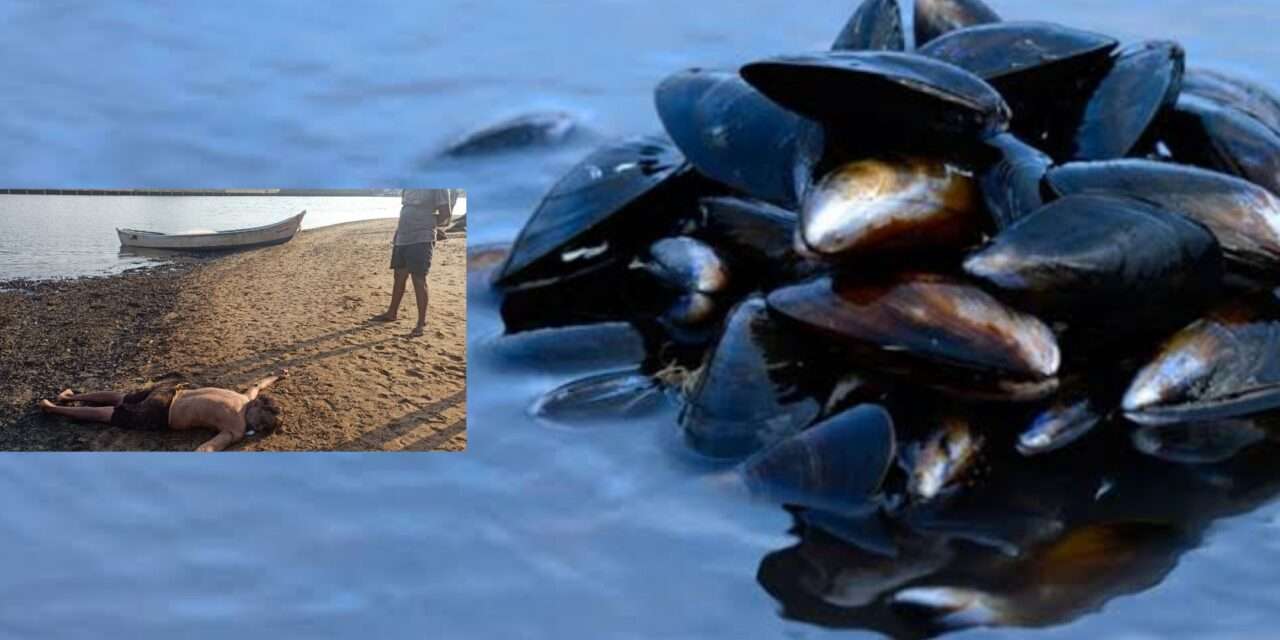 Fisherman/  ನೀಲಿಕಲ್ಲು ತೆಗೆಯಲು ಹೋಗಿ ಸಮುದ್ರಪಾಲಾದ ಮೀನುಗಾರ.