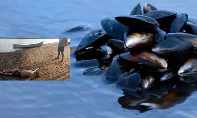 Fisherman/  ನೀಲಿಕಲ್ಲು ತೆಗೆಯಲು ಹೋಗಿ ಸಮುದ್ರಪಾಲಾದ ಮೀನುಗಾರ.